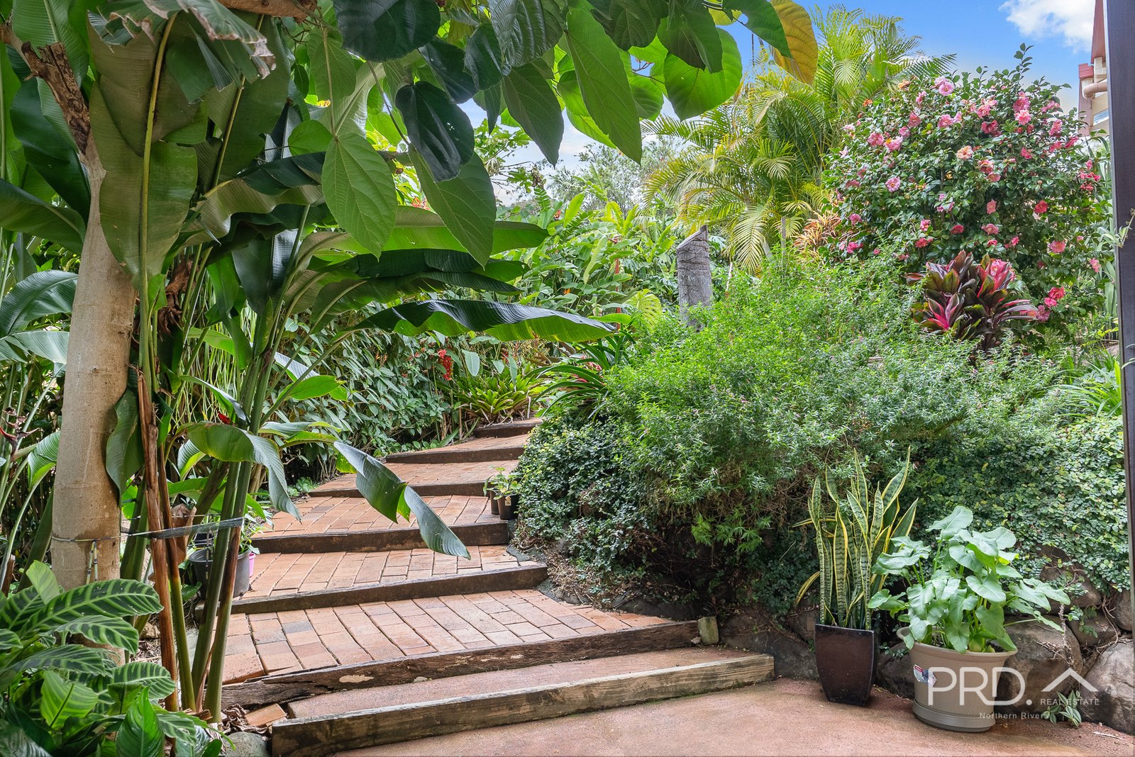 70 Mountain View Drive GOONELLABAH 13