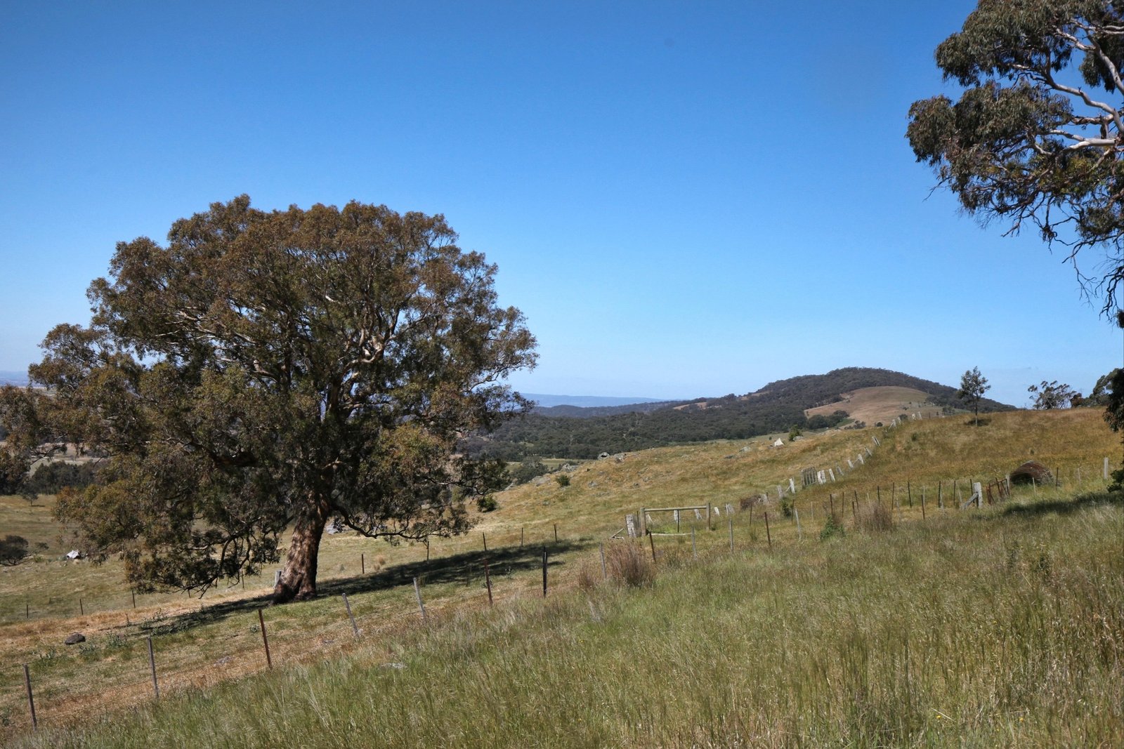 Real Estate and Property in 70 Powells Road, Nulla Vale, VIC