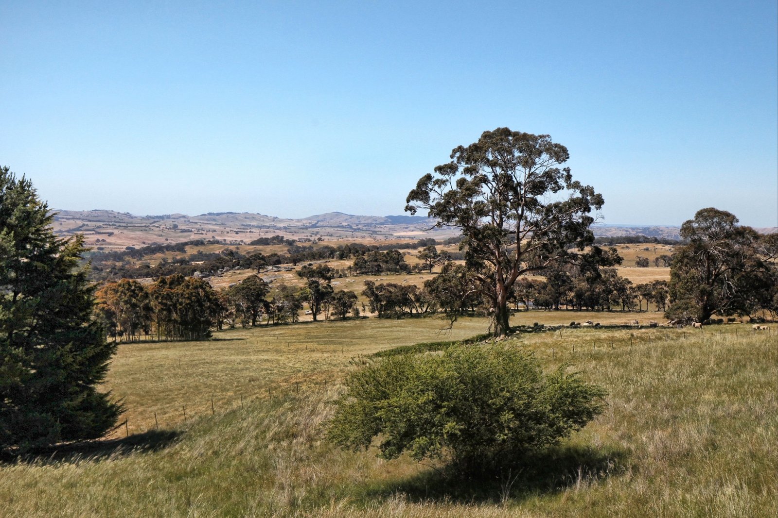 Real Estate and Property in 70 Powells Road, Nulla Vale, VIC