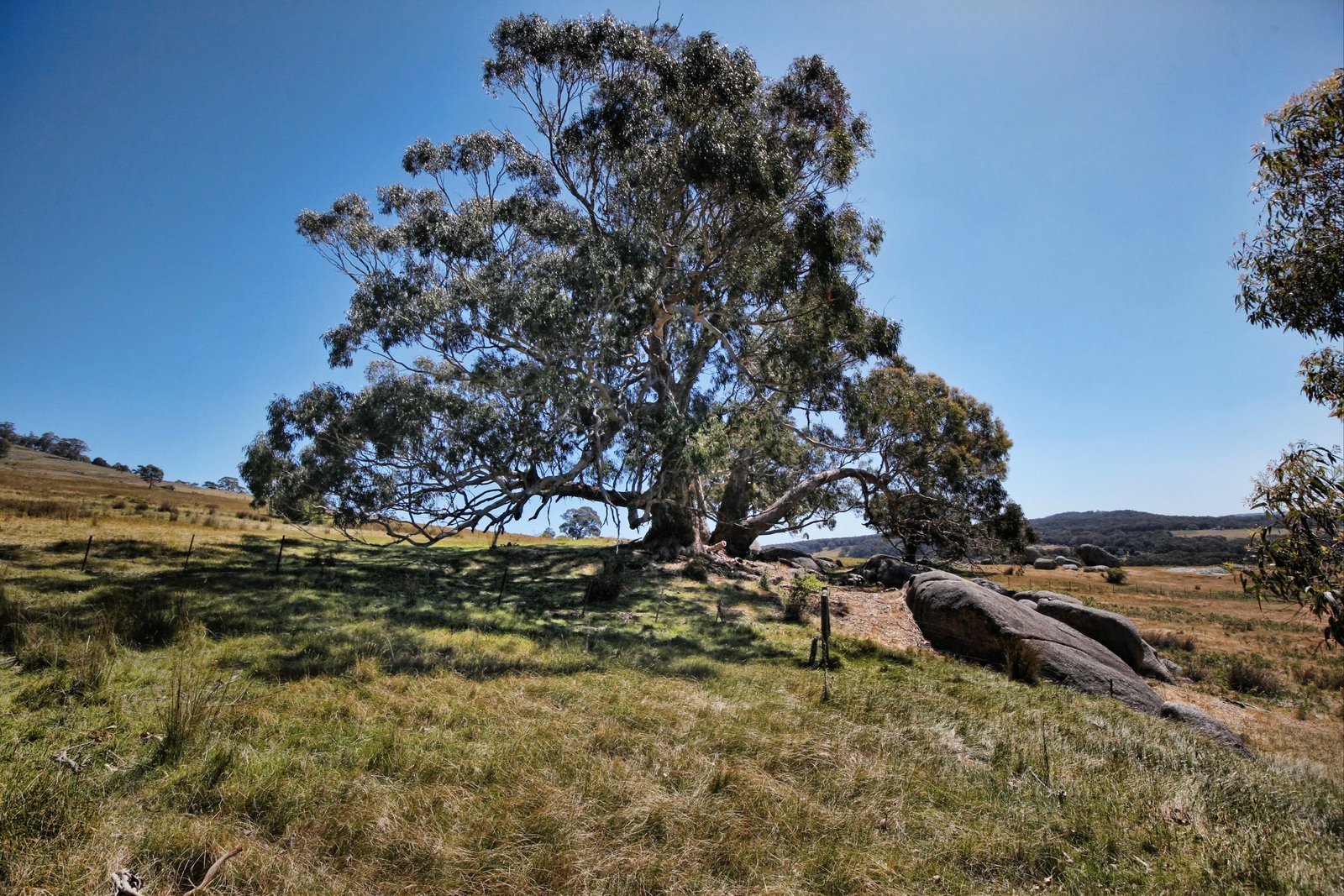 Real Estate and Property in 70 Powells Road, Nulla Vale, VIC