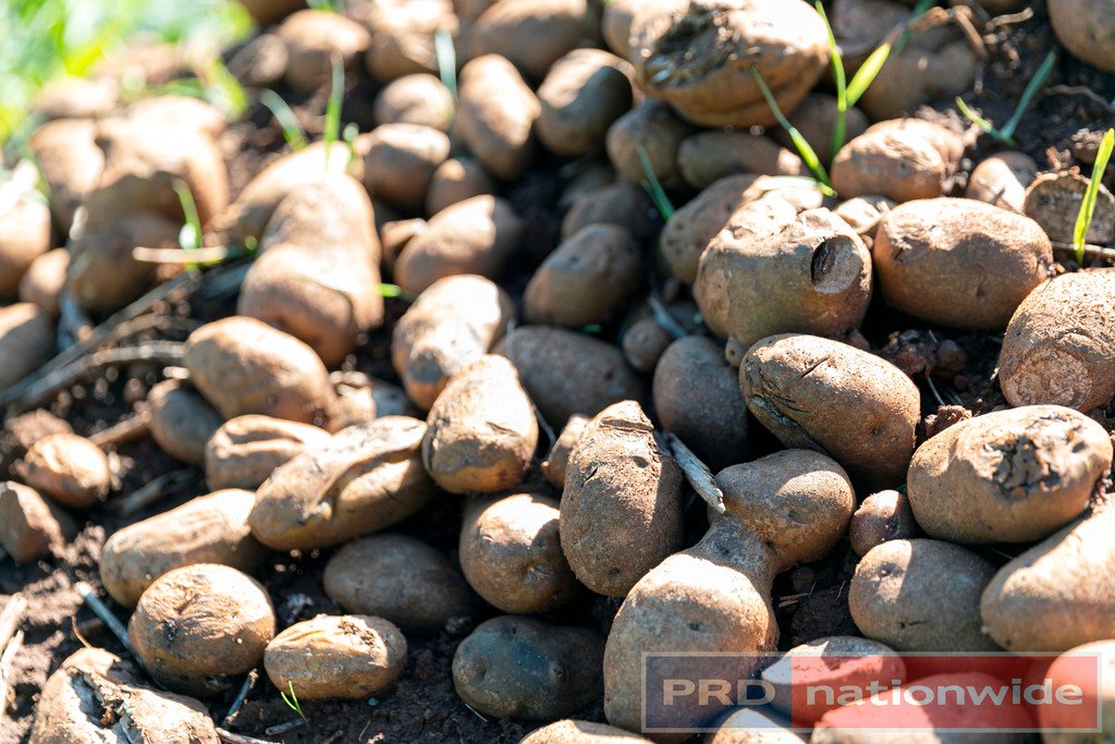 70 Ryries Road NEWLYN 5