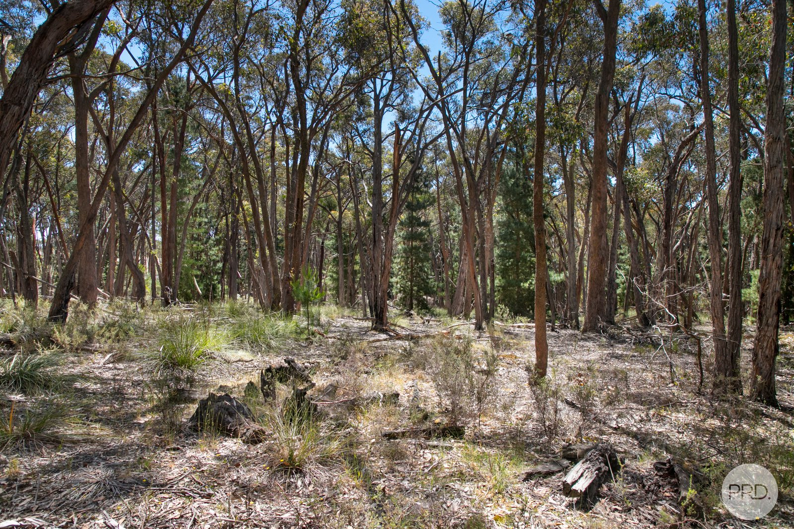 70 Short Road SMYTHESDALE 7