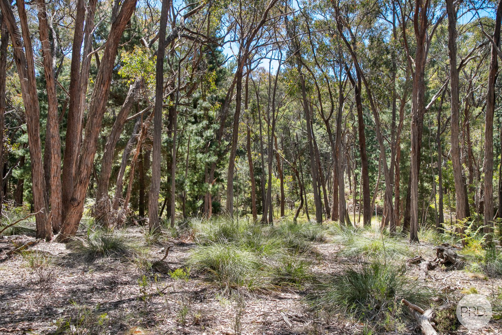 70 Short Road SMYTHESDALE 8