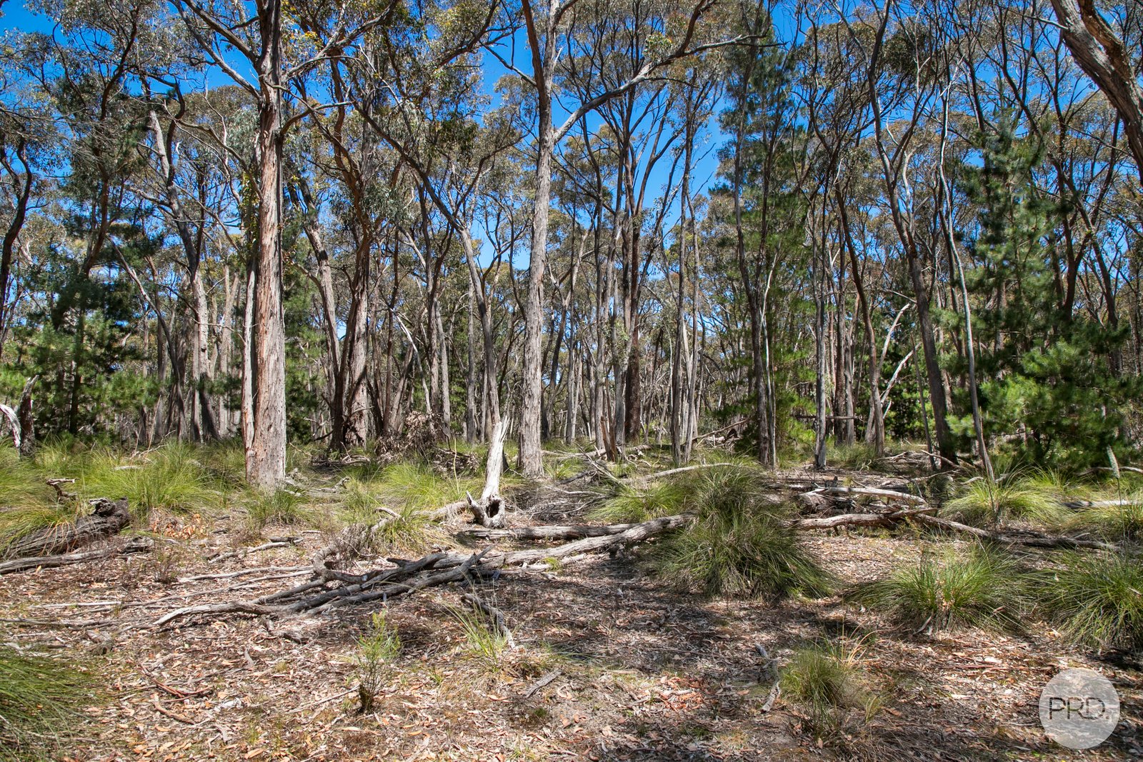 70 Short Road SMYTHESDALE 10