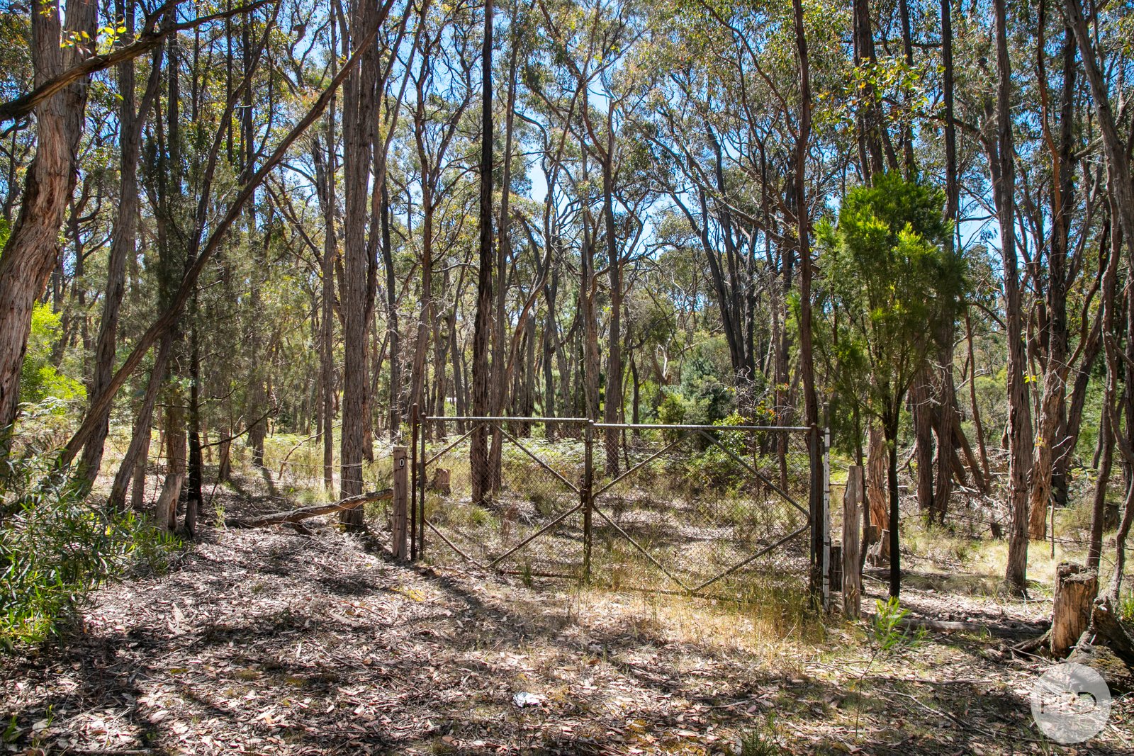 70 Short Road SMYTHESDALE 11