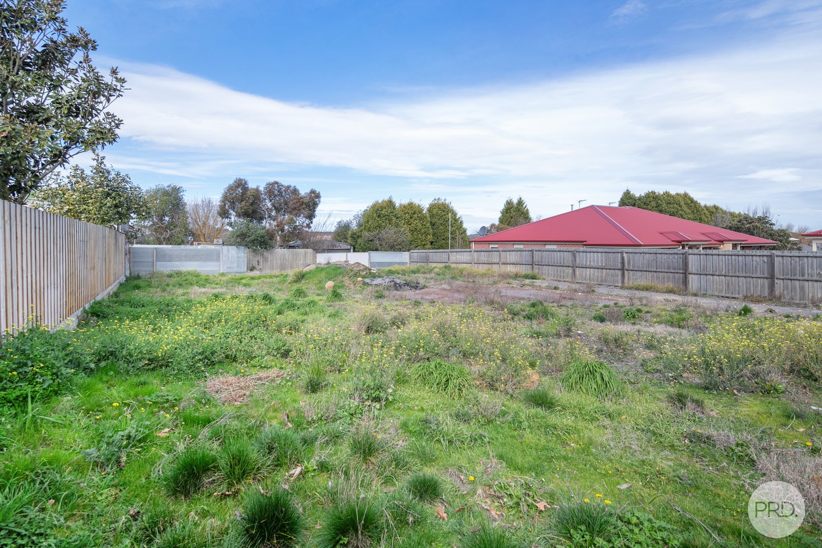 703 Skipton Street REDAN 2