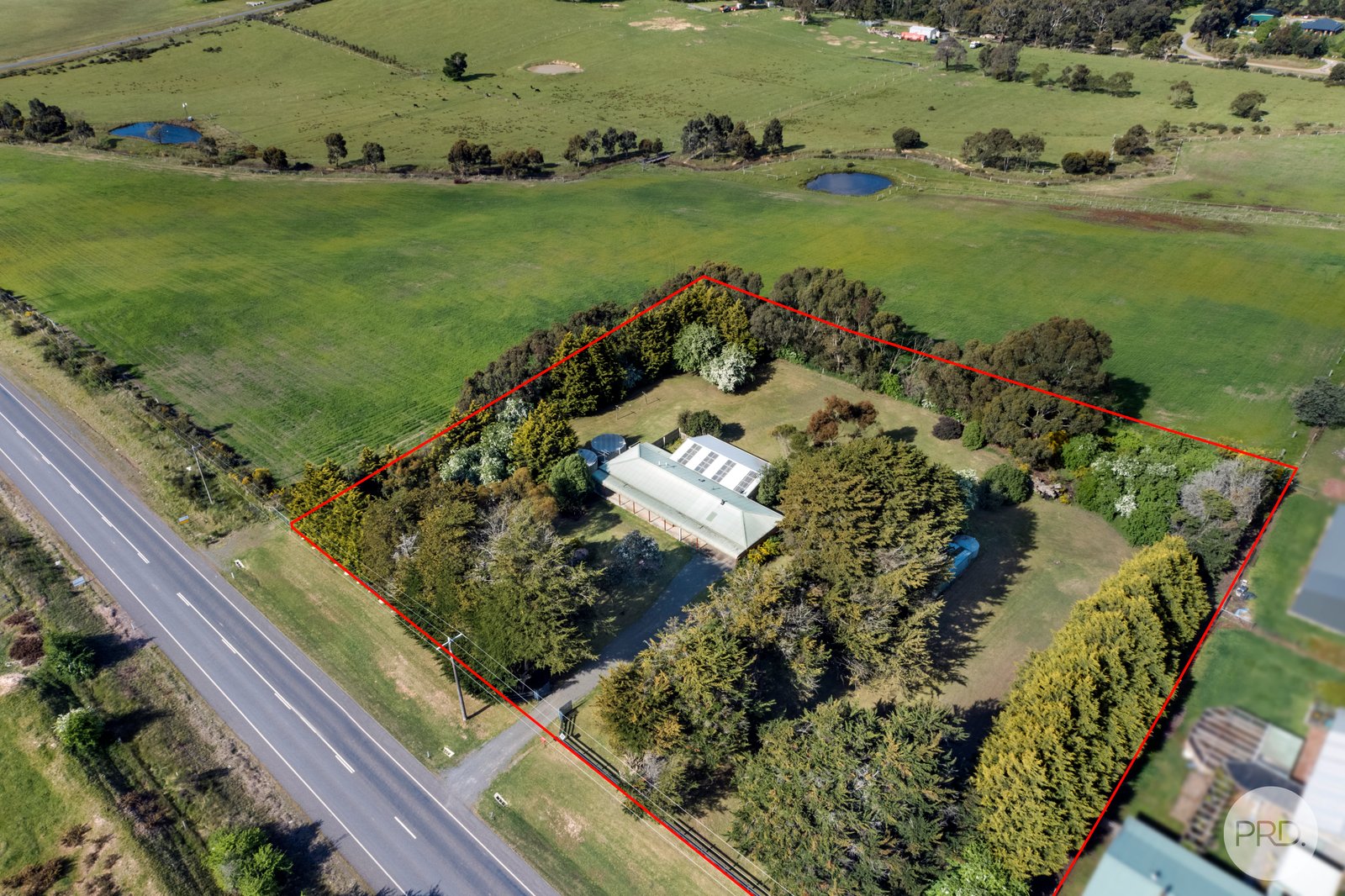 706 Gillies Road SULKY 1