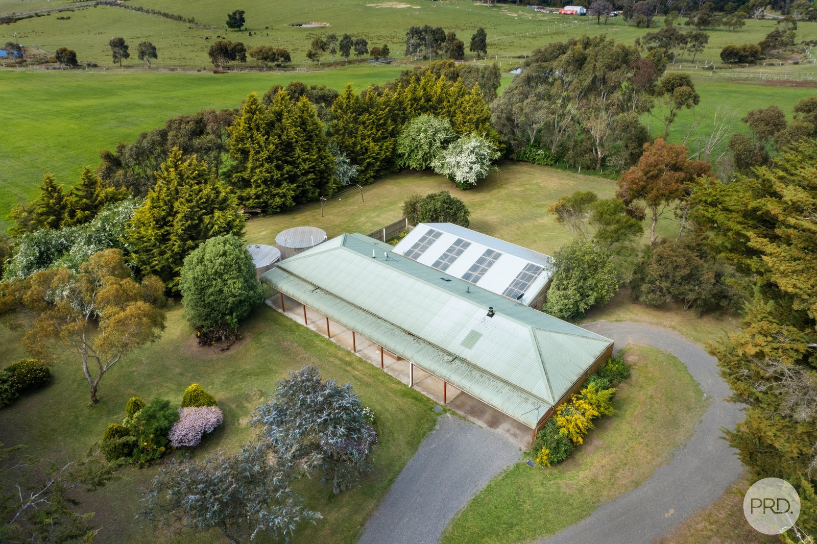 706 Gillies Road SULKY 3