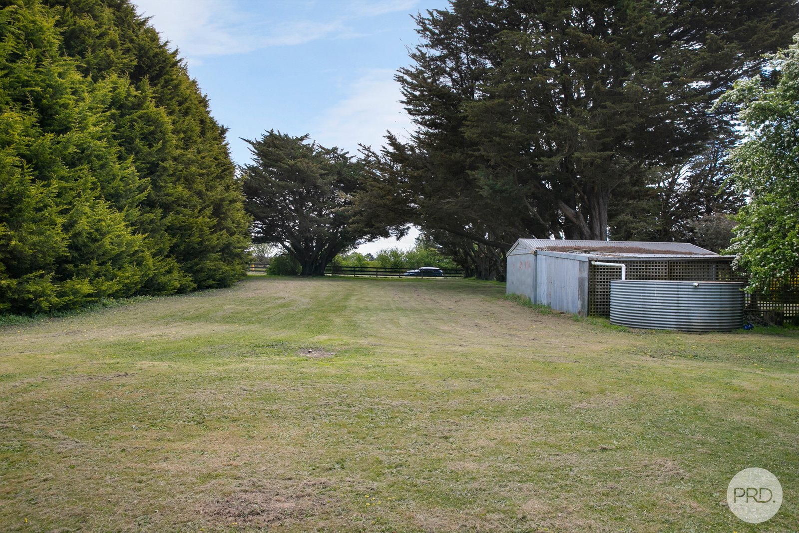 706 Gillies Road SULKY 19