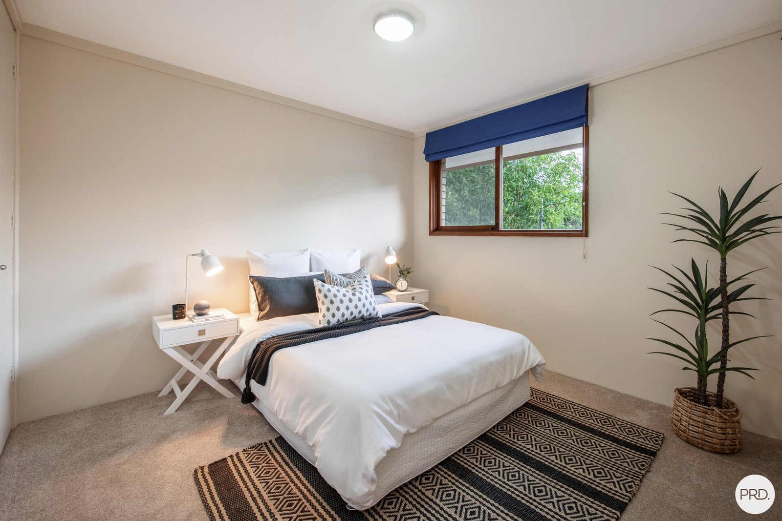 706 Morningside Place ALBURY 12