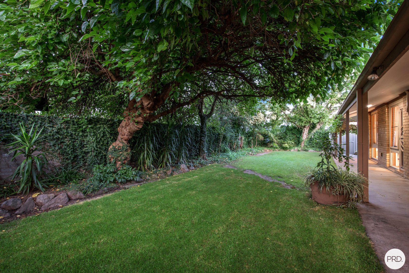 706 Morningside Place ALBURY 17