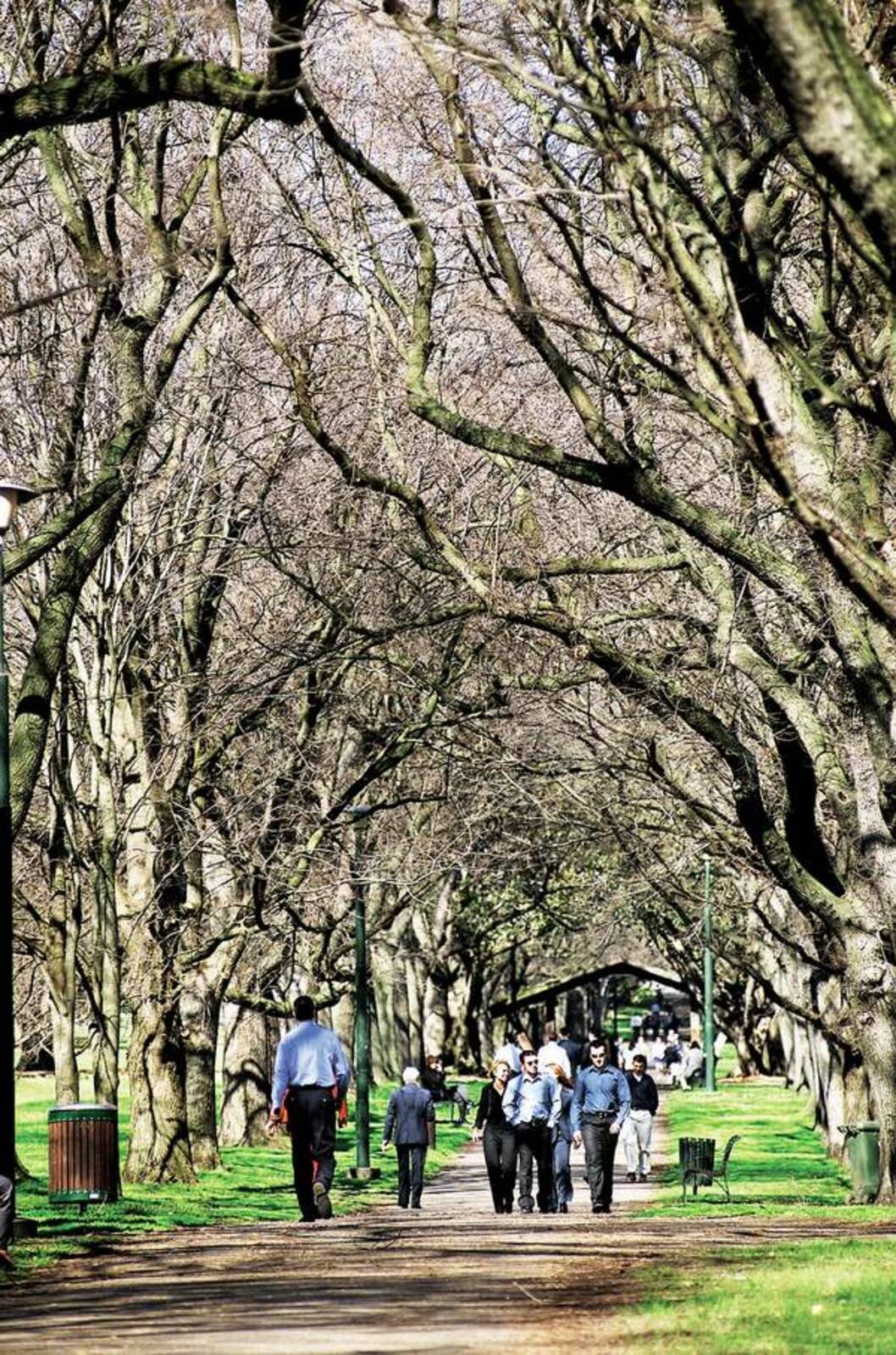 Real Estate and Property in 707 Orrong Road, Toorak, VIC