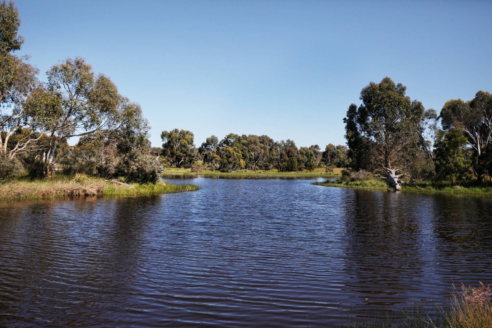 Real Estate and Property in 709 Three Chain Road, Newham, VIC