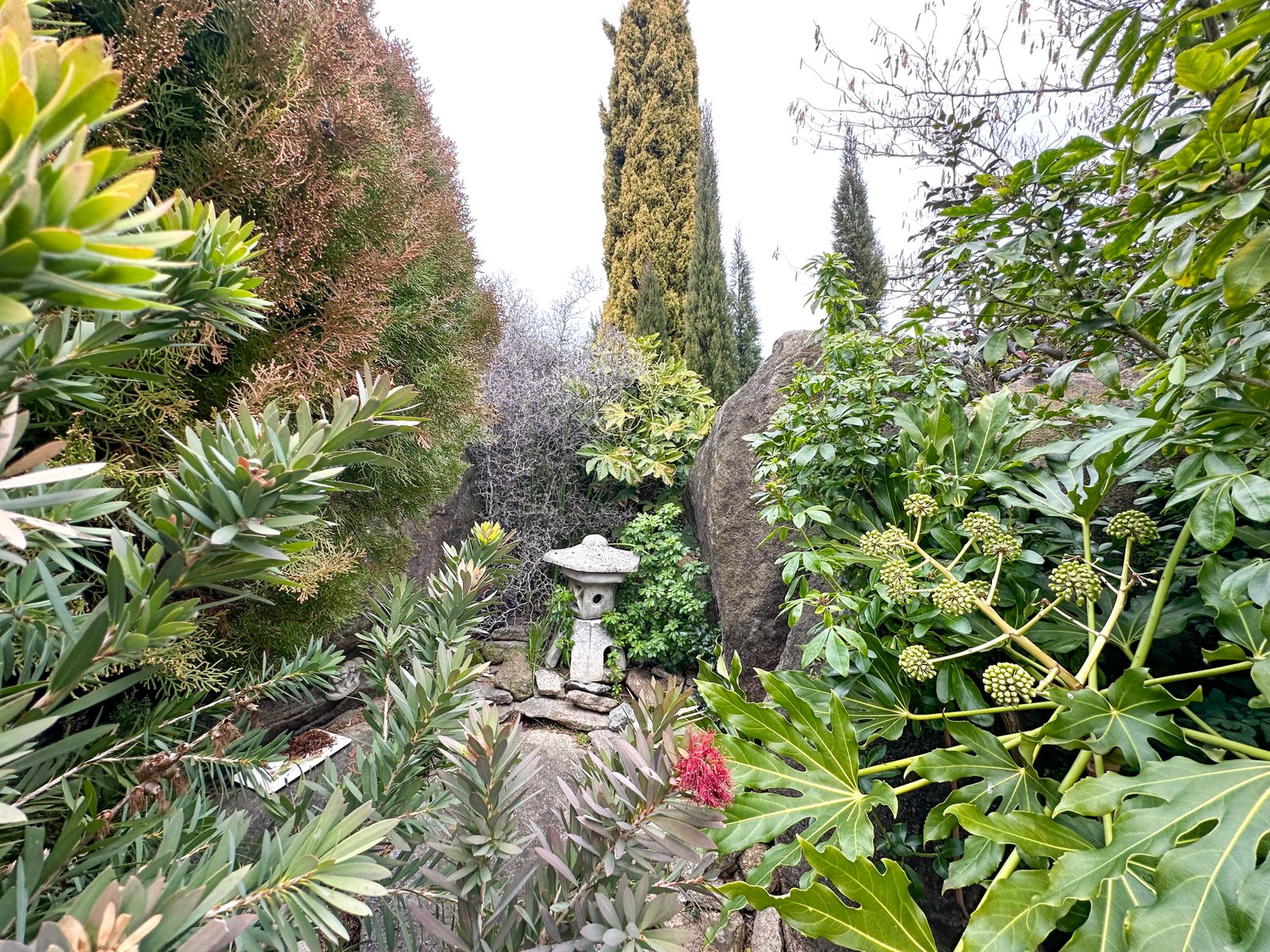 71 Clara Street TUMBARUMBA 14