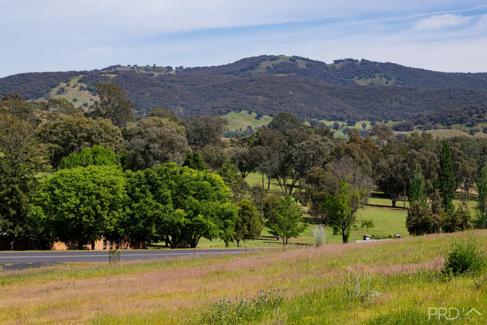 71 Fairway Drive TUMUT 5