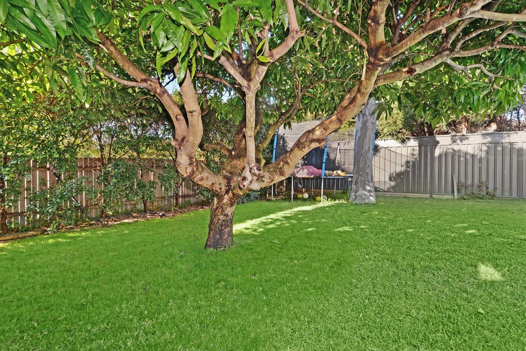 71 Harold Street MATRAVILLE 13