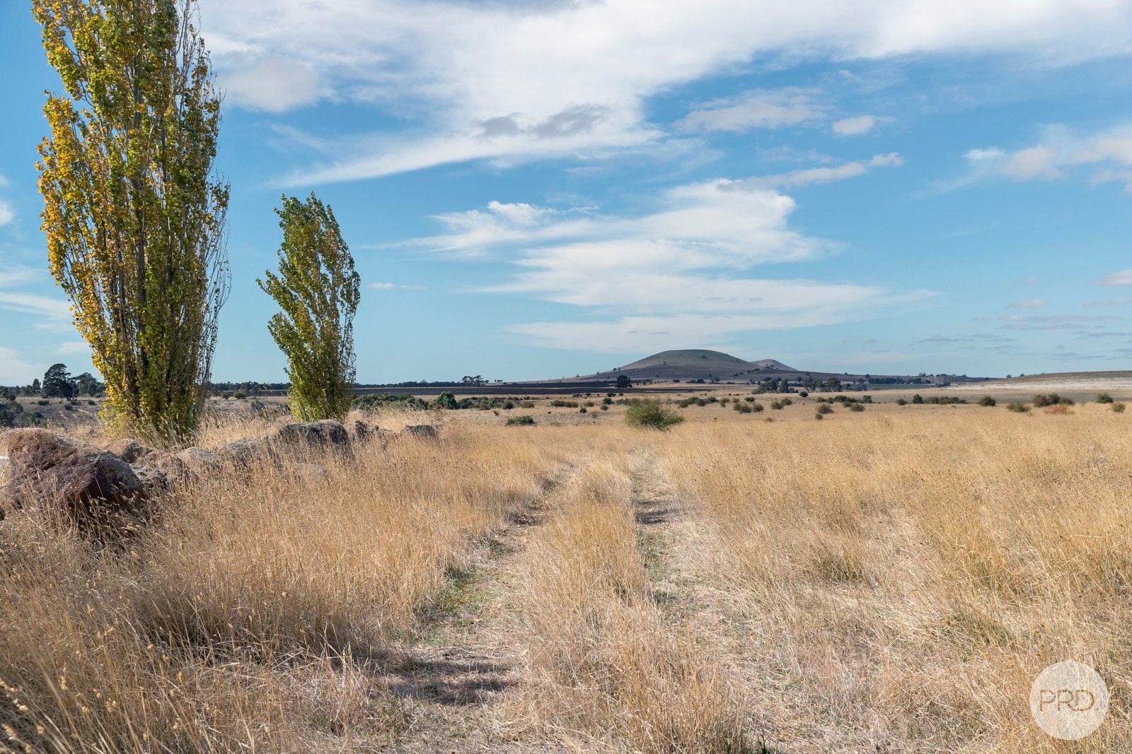 71 Nicholsons Road CLUNES 9