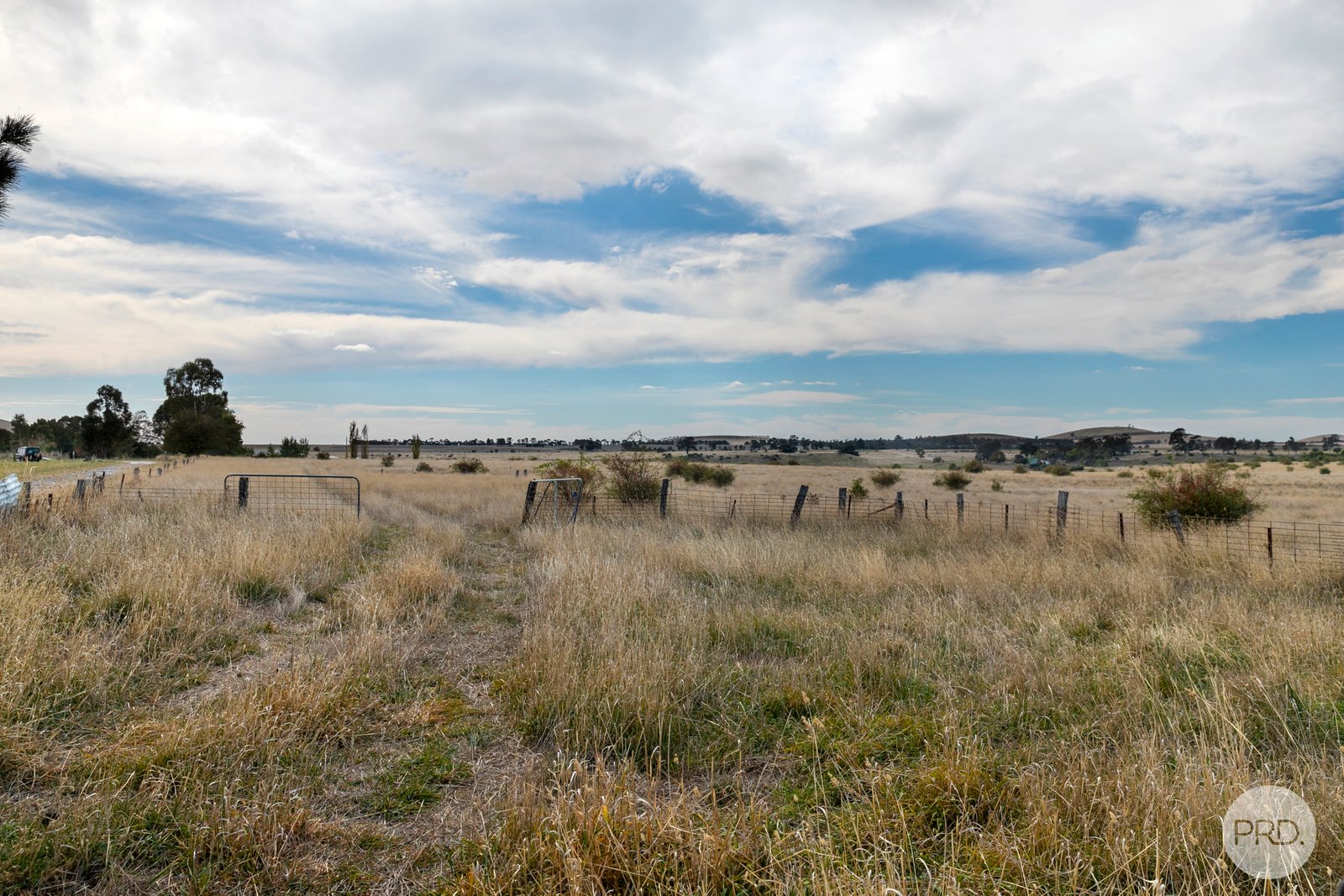71 Nicholsons Road CLUNES 10