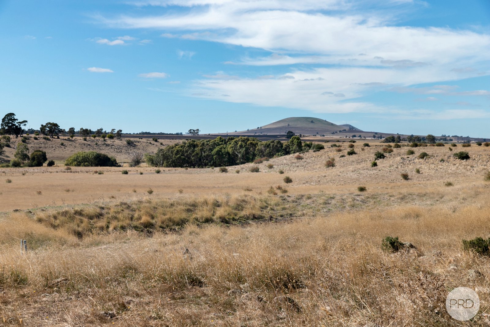 71 Nicholsons Road CLUNES 13