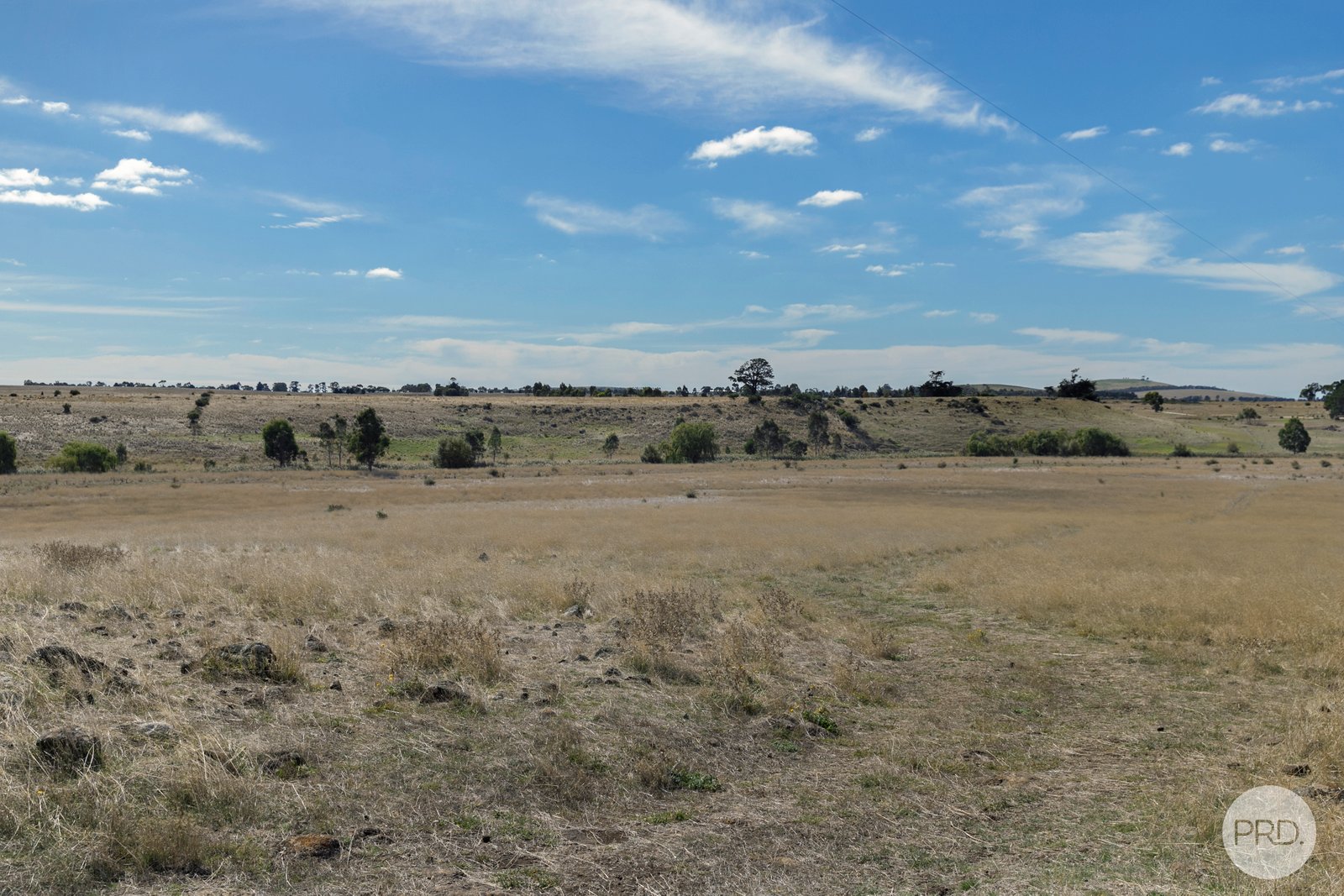 71 Nicholsons Road CLUNES 14