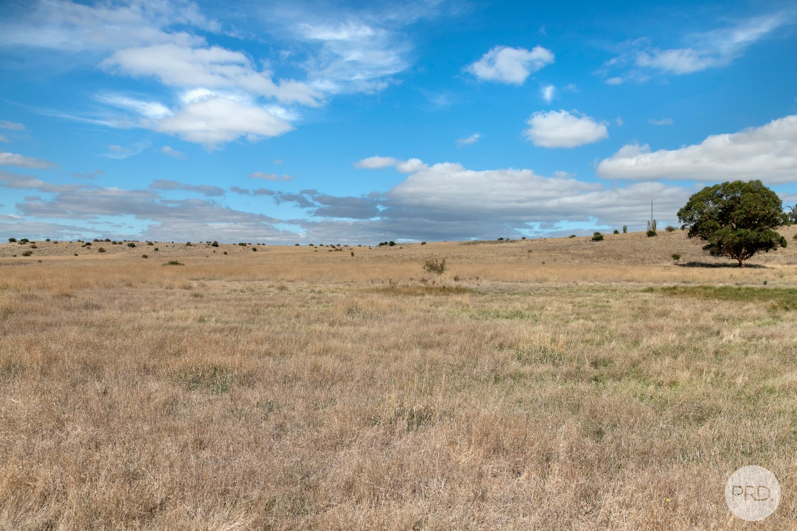 71 Nicholsons Road CLUNES 15