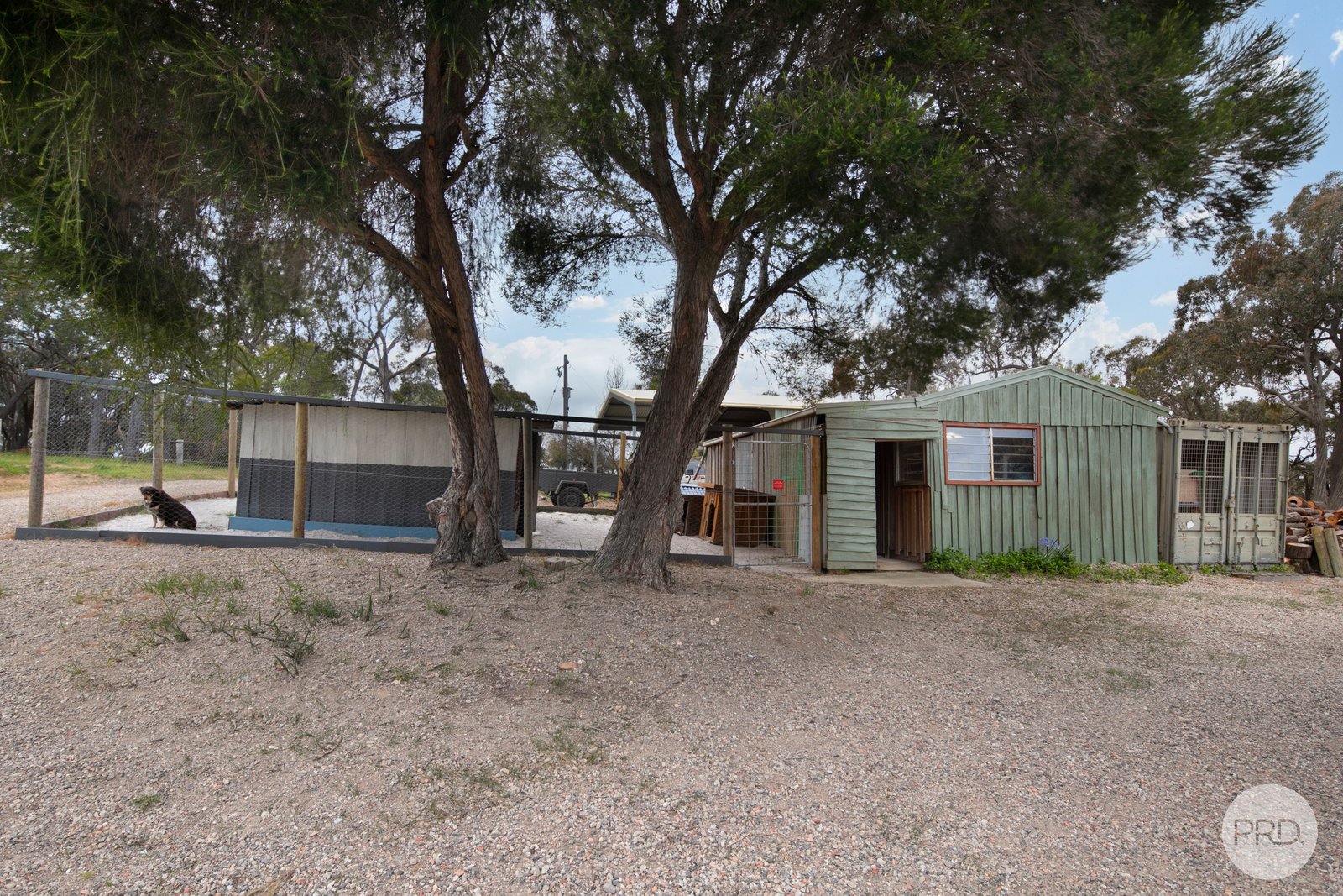 71 Red Hill Road RAGLAN 18