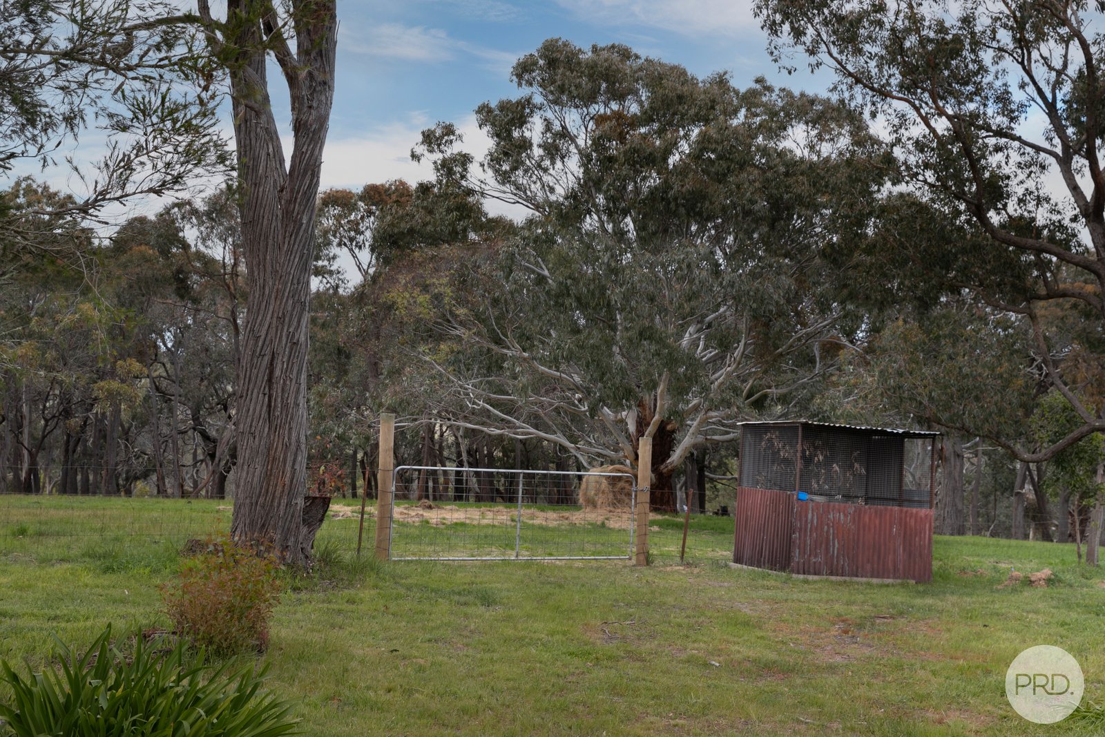 71 Red Hill Road RAGLAN 20
