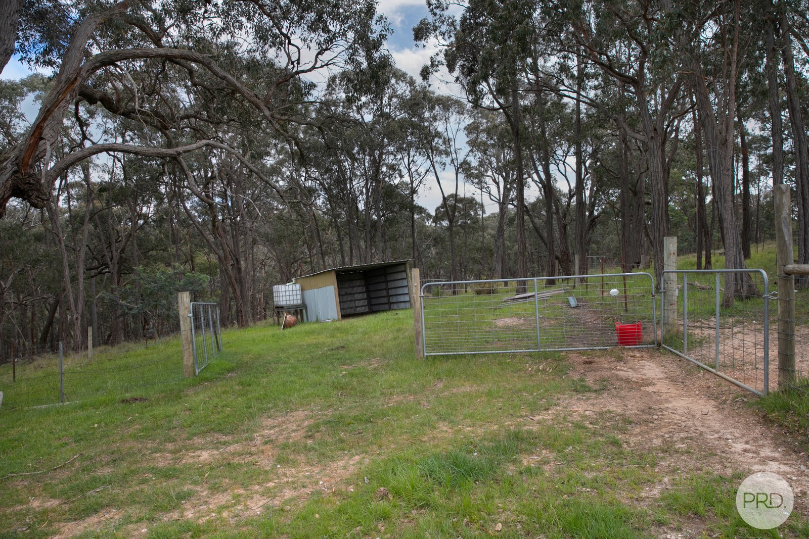 71 Red Hill Road RAGLAN 21
