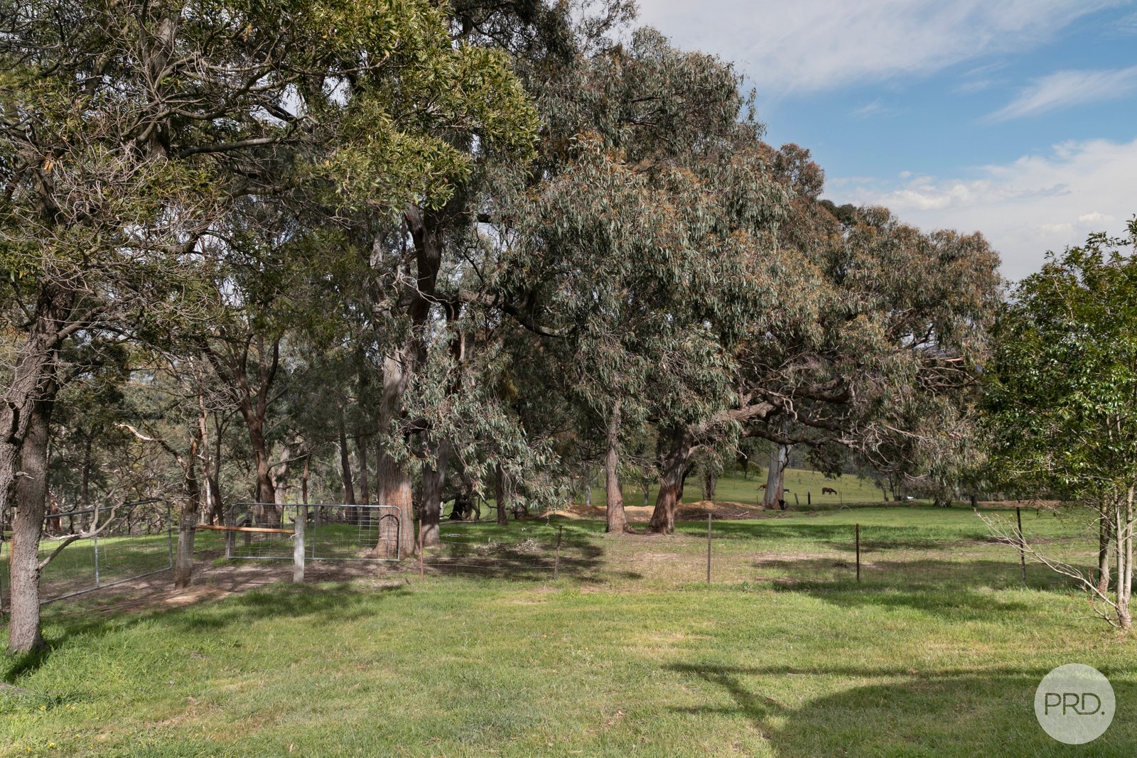 71 Red Hill Road RAGLAN 22