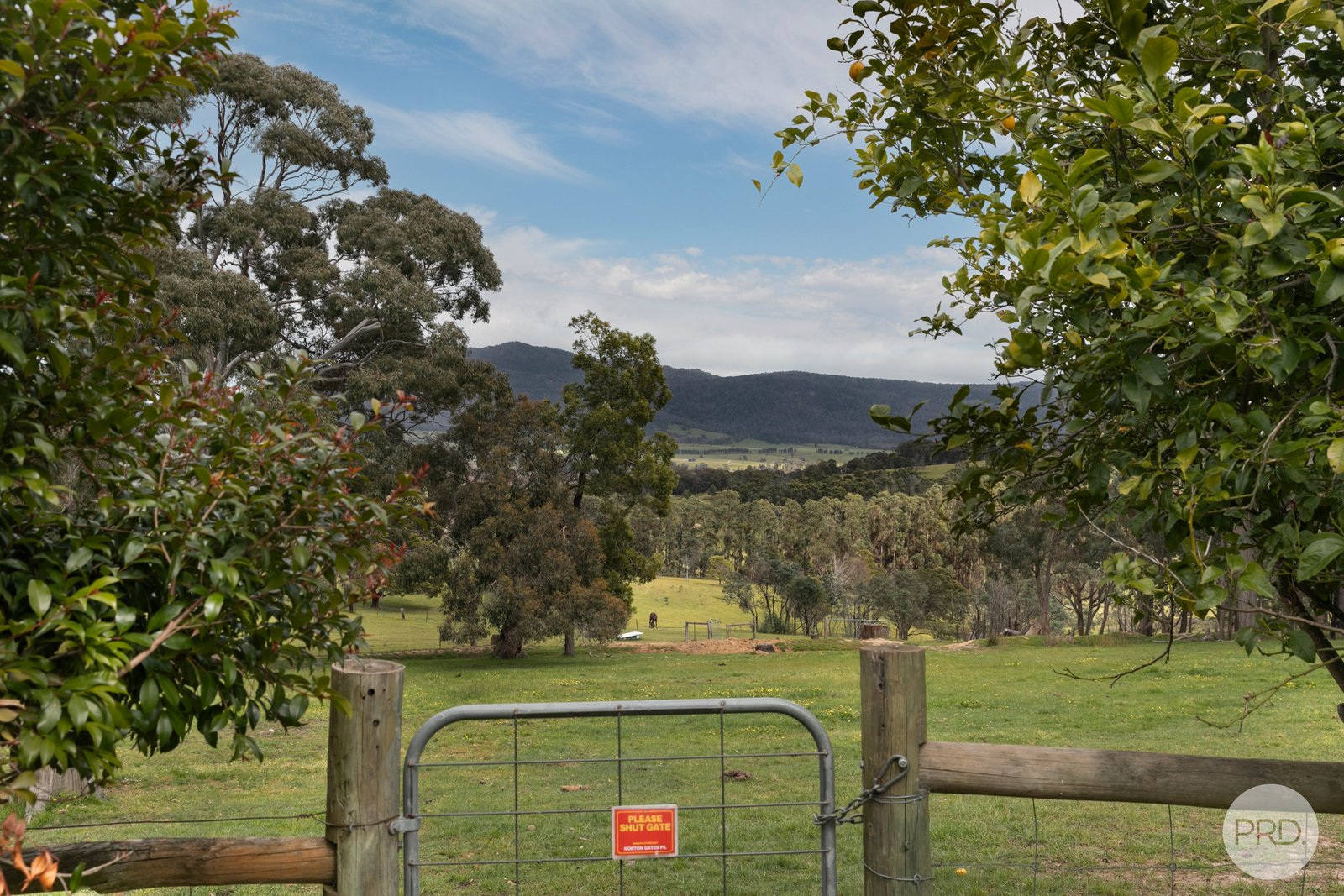 71 Red Hill Road RAGLAN 23