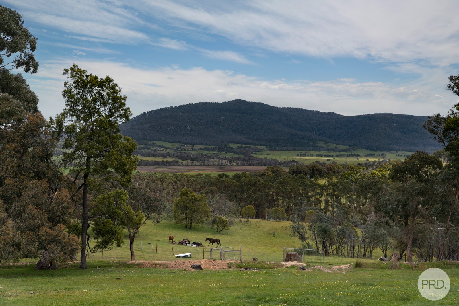 71 Red Hill Road RAGLAN 24