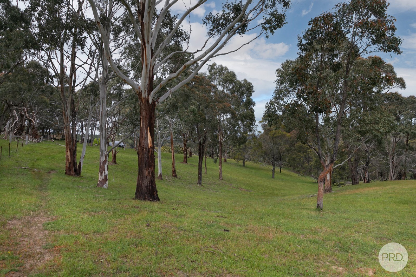 71 Red Hill Road RAGLAN 25