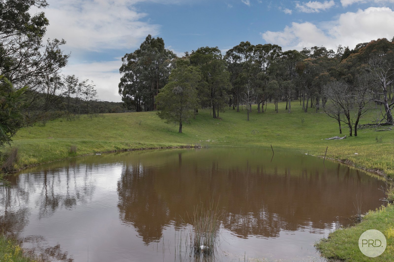 71 Red Hill Road RAGLAN 27