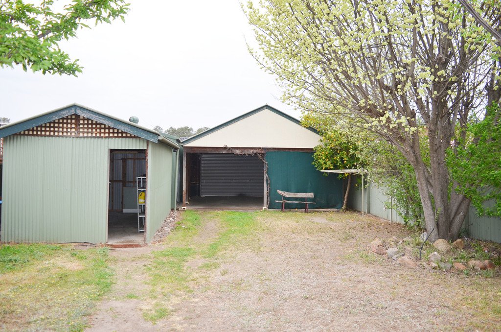 71 Tarcutta Street WAGGA WAGGA 10
