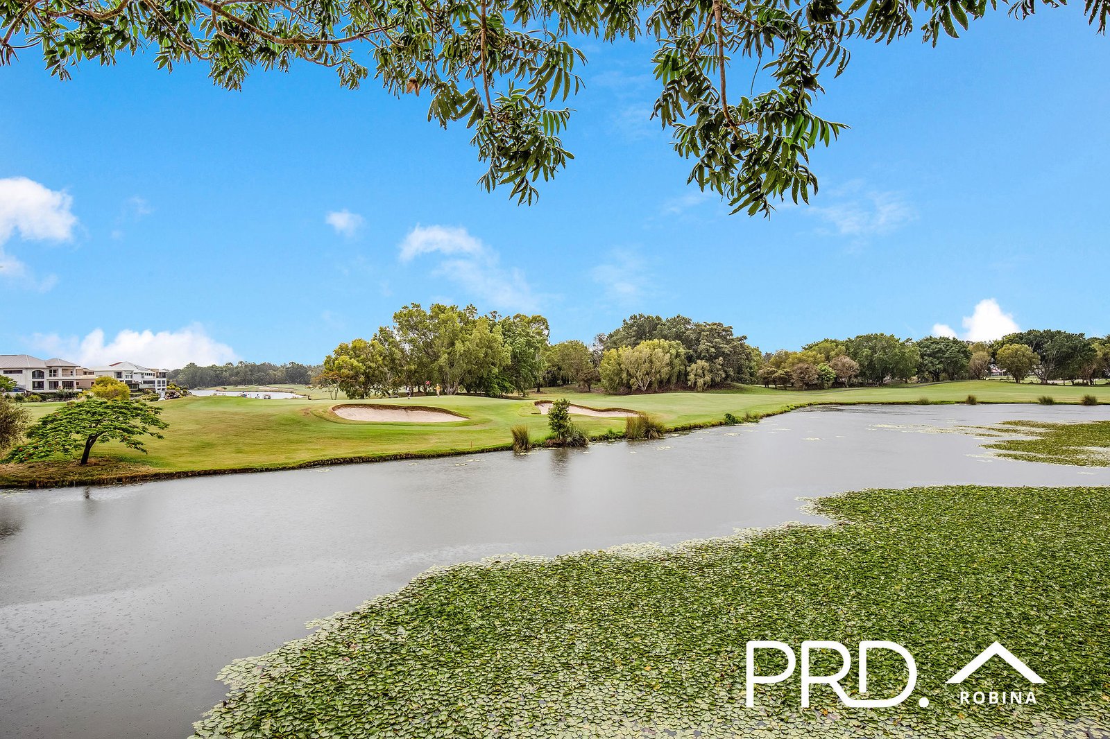 711 Glades Drive ROBINA 29