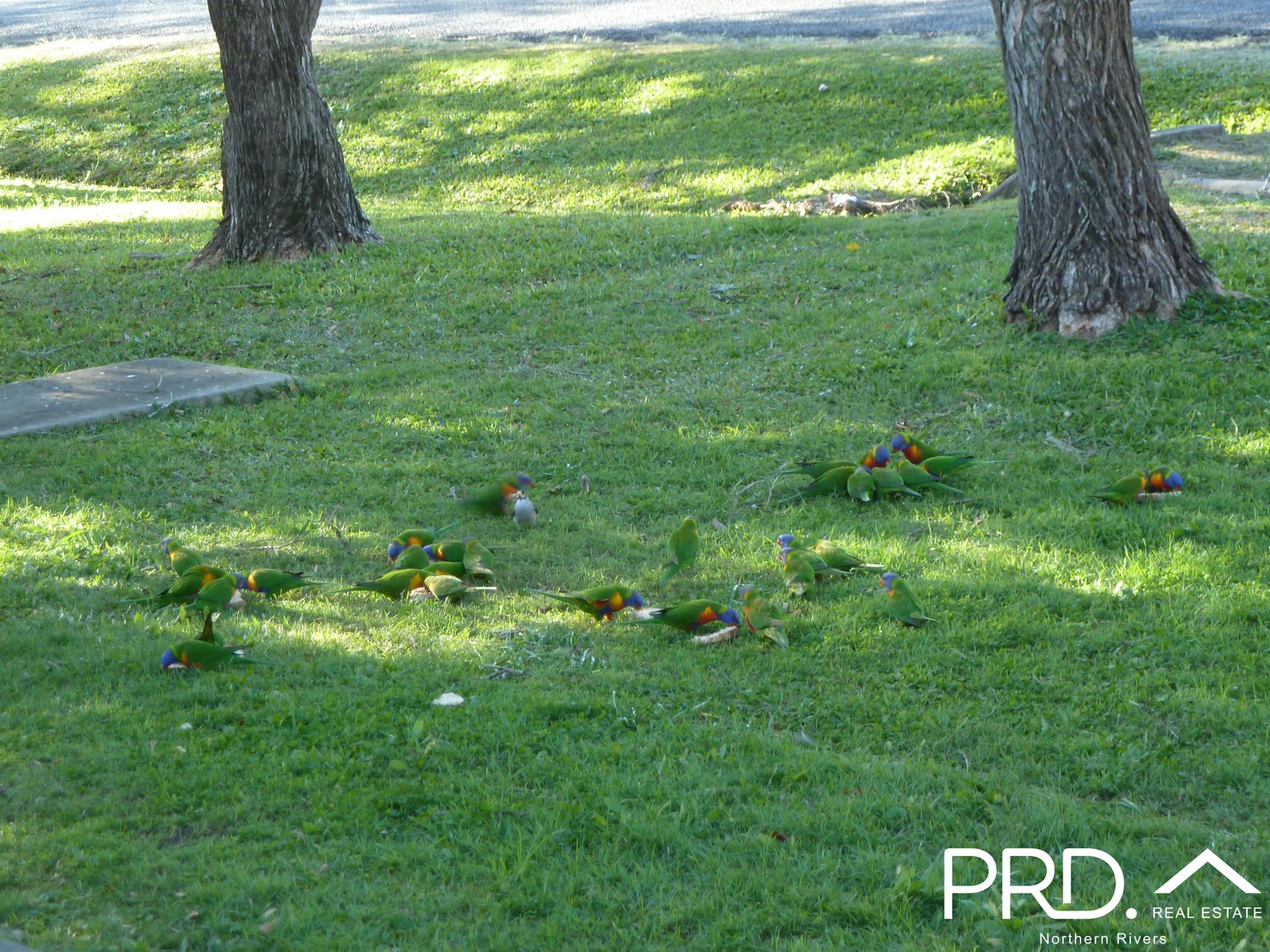 7/15 Donald Street KYOGLE 2