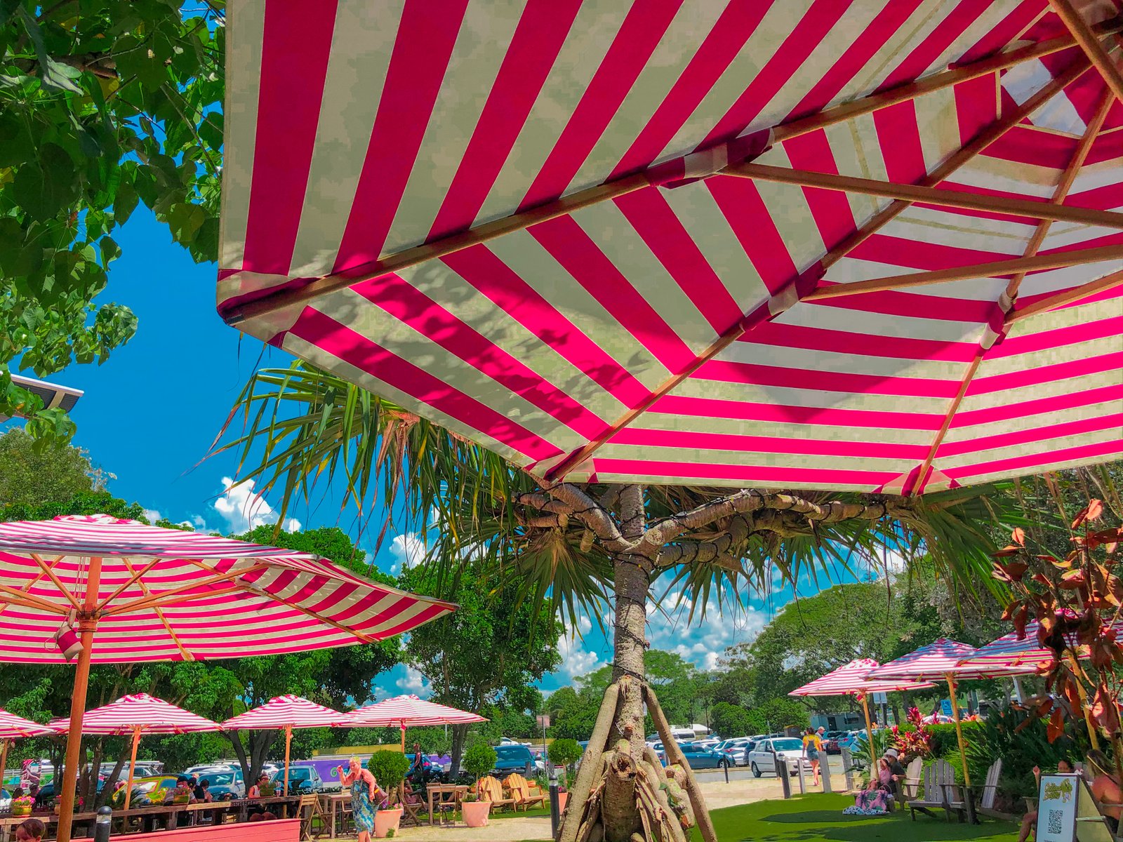 7/16 Mawarra Street PALM BEACH 10