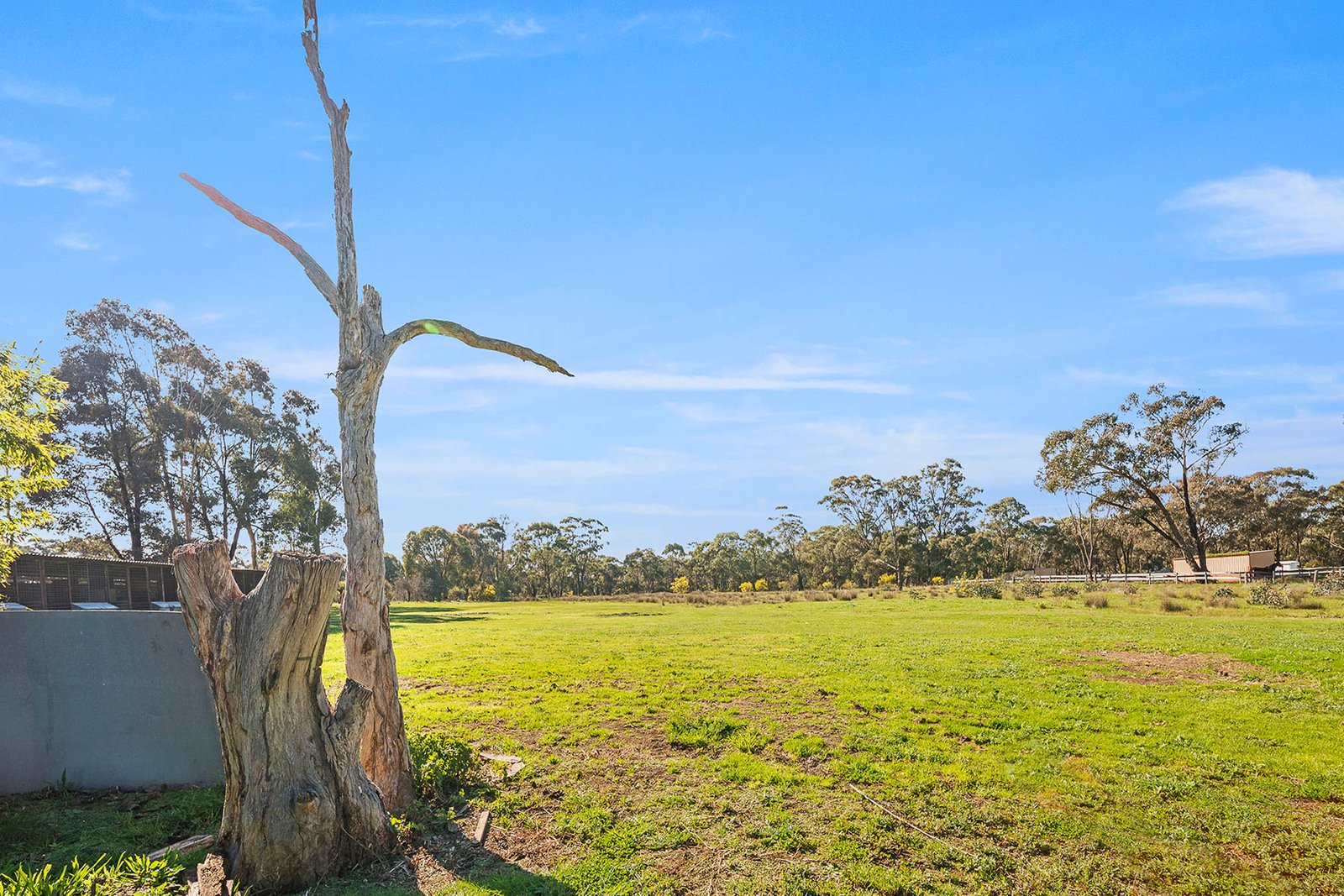 717 McIvor Highway JUNORTOUN 5