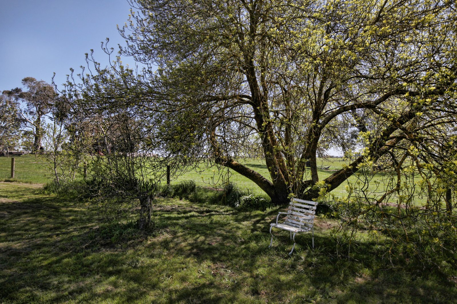 Real Estate and Property in 718 Tylden-Woodend Road, Woodend, VIC