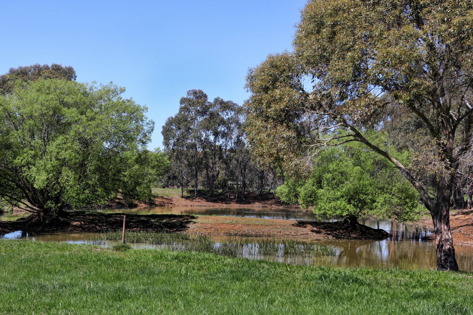 Real Estate and Property in 718 Tylden-Woodend Road, Woodend, VIC