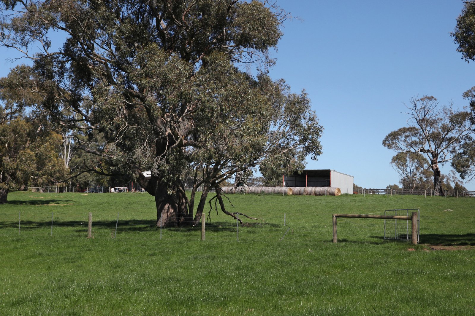 Real Estate and Property in 718 Tylden-Woodend Road, Woodend, VIC