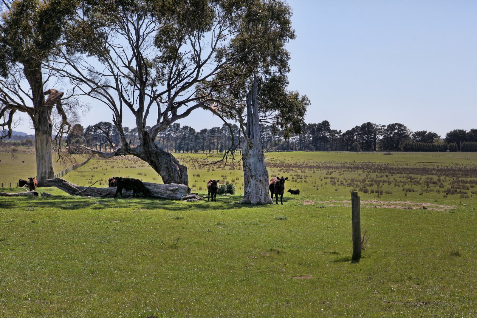 Real Estate and Property in 718 Tylden-Woodend Road, Woodend, VIC
