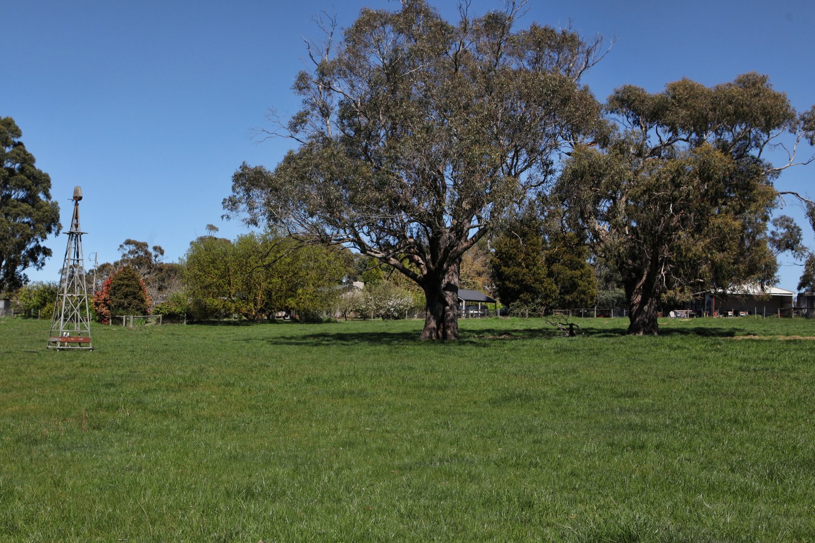 Real Estate and Property in 718 Tylden-Woodend Road, Woodend, VIC