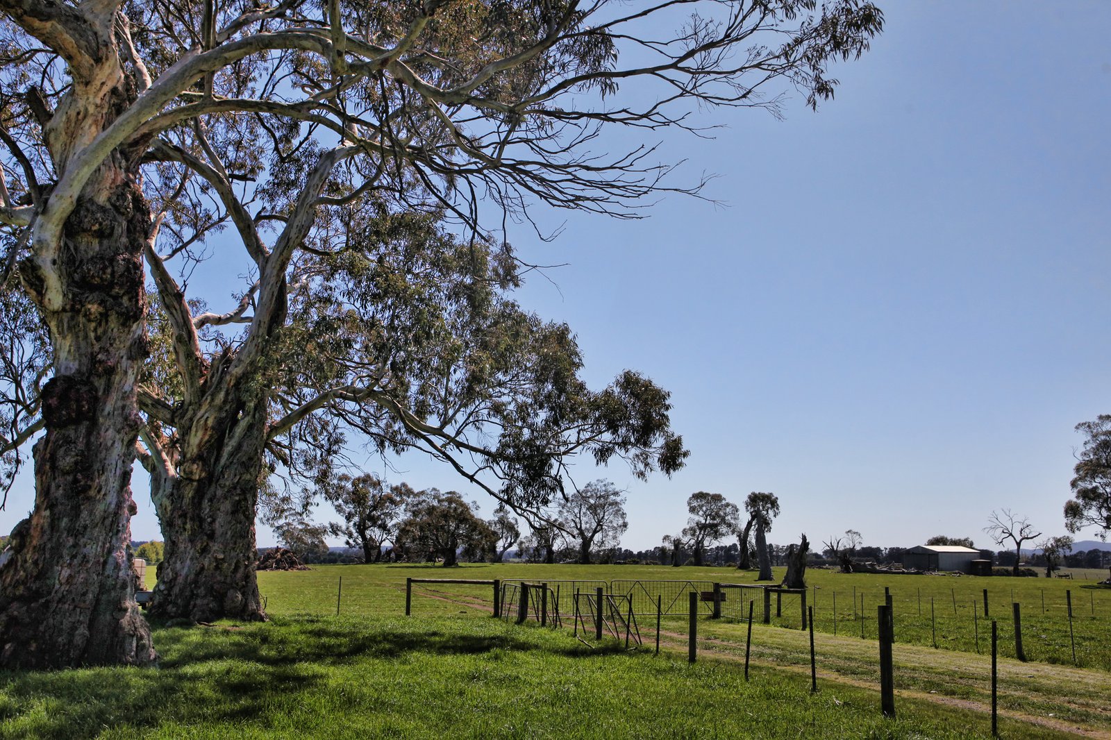 Real Estate and Property in 718 Tylden-Woodend Road, Woodend, VIC