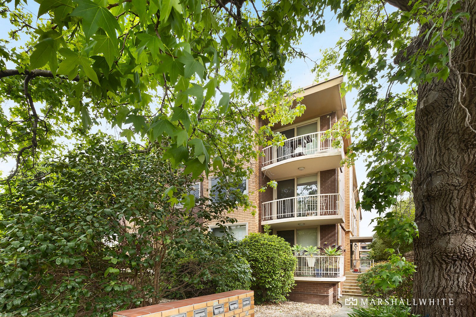 7/184 Wattletree Road, Malvern, VIC