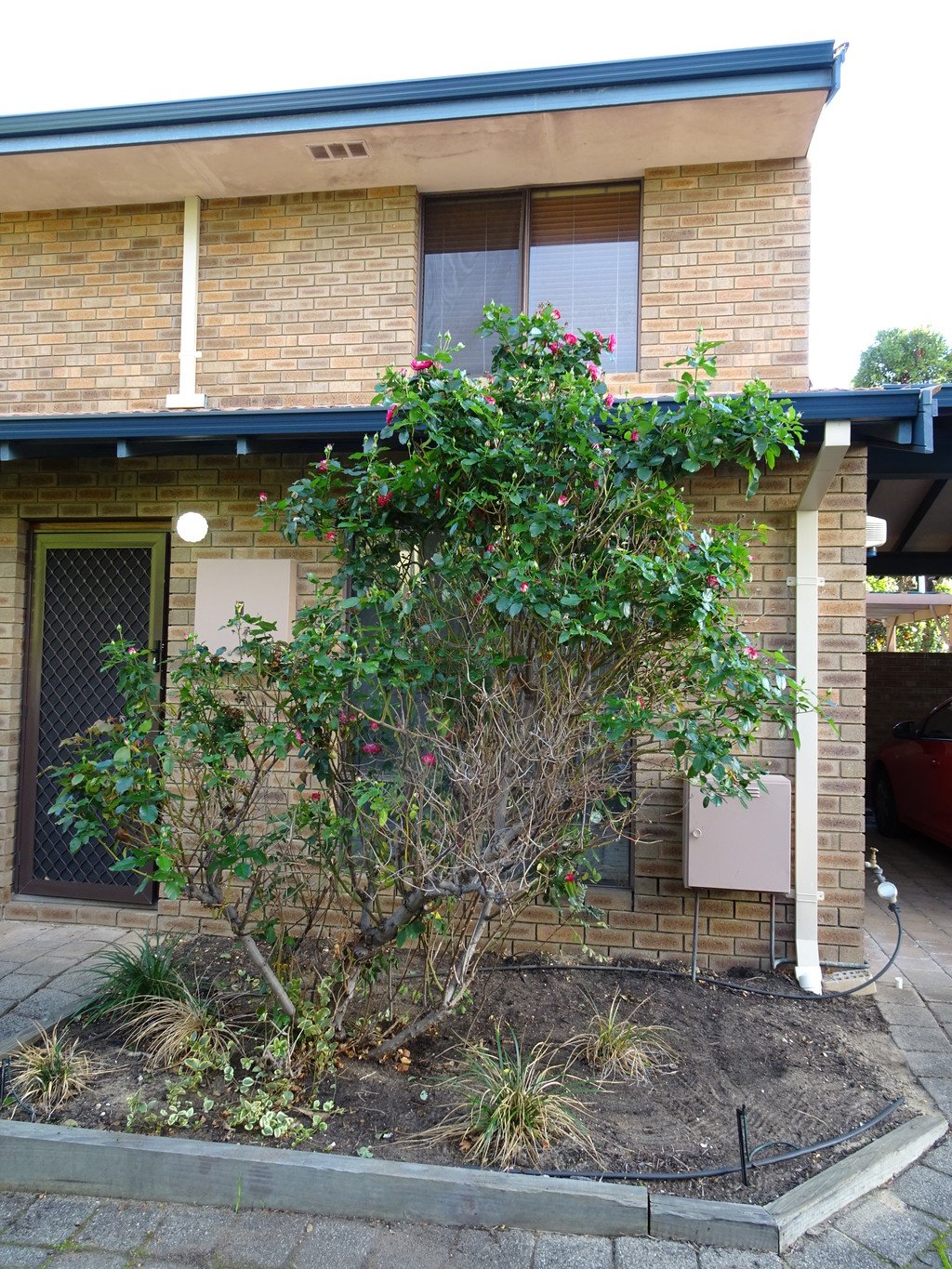 7/185 Oxford Street LEEDERVILLE 2