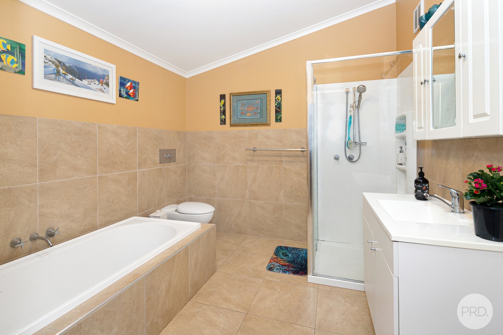 719 Barkly Street MOUNT PLEASANT 12