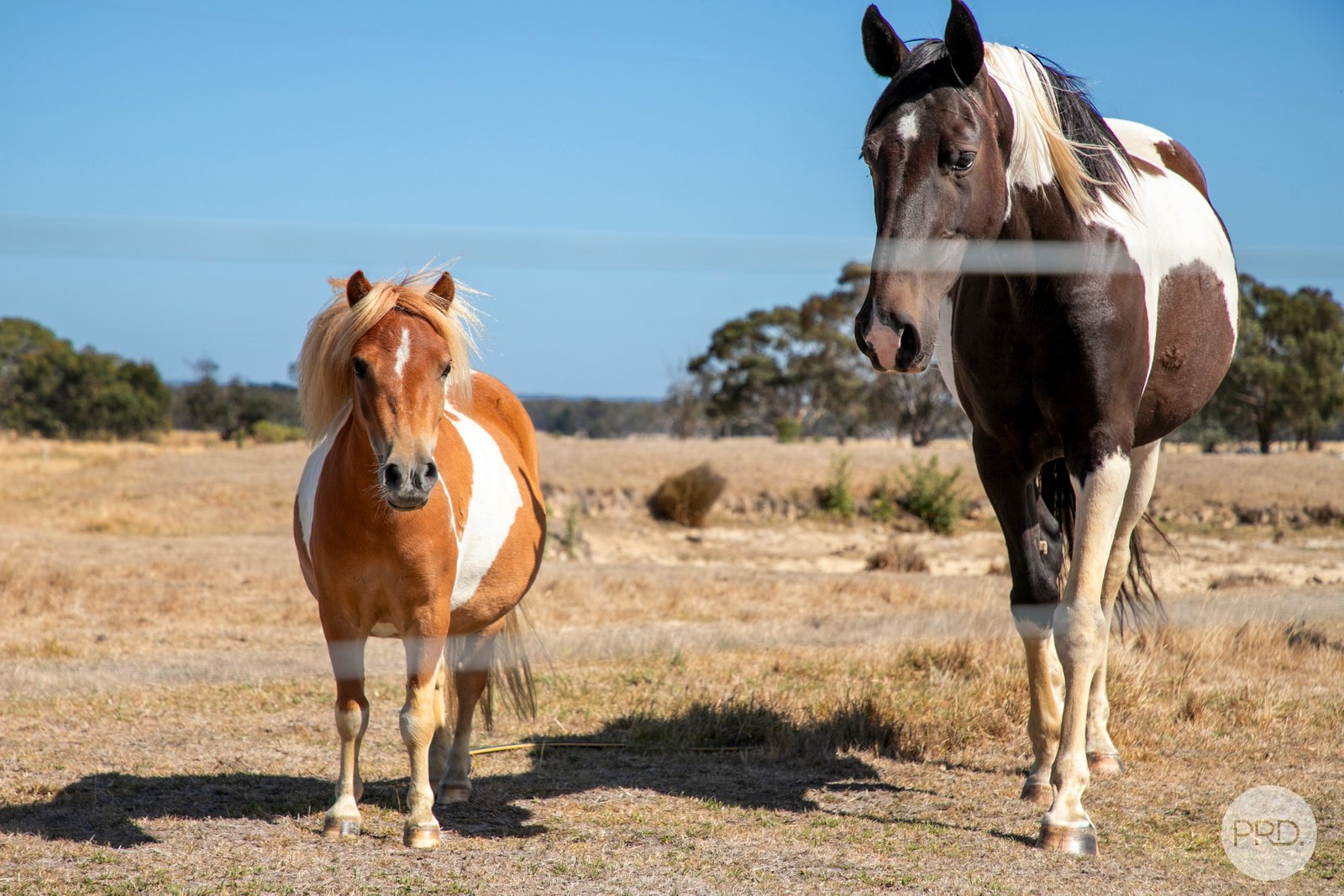 72 Chalkmine Road LAL LAL 11