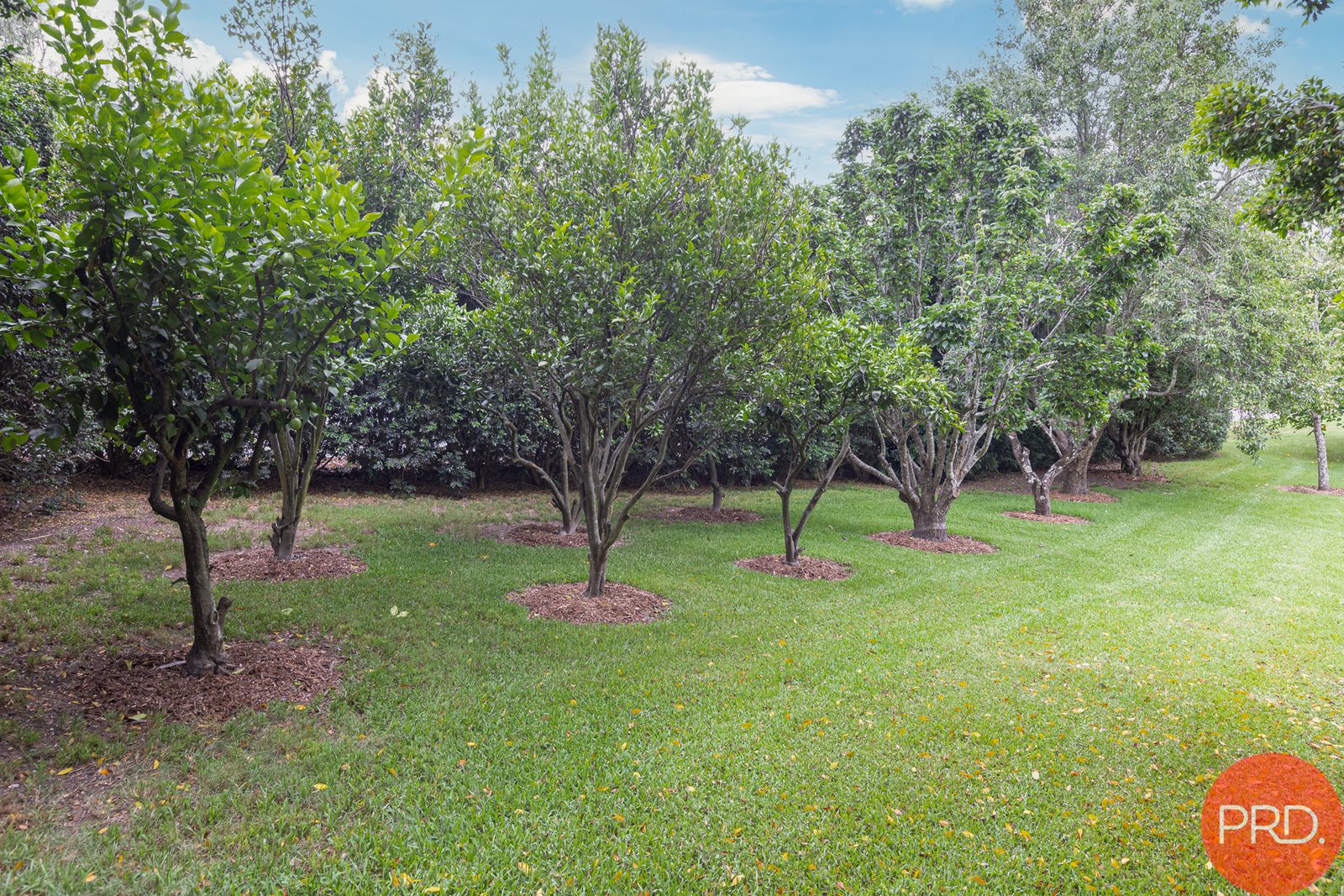 72 Paterson Road BOLWARRA 32