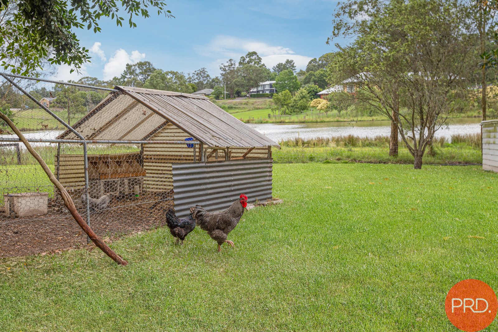 72 Paterson Road BOLWARRA 34